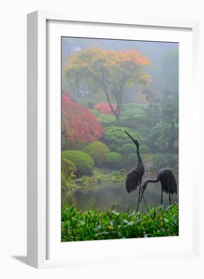 Gardens in the Fog I-Brian Moore-Framed Photographic Print