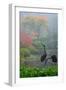 Gardens in the Fog I-Brian Moore-Framed Photographic Print