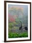 Gardens in the Fog I-Brian Moore-Framed Photographic Print