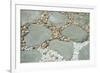 Gardens, landscaping, pebbles and rocks-Claver Carroll-Framed Photographic Print