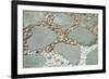 Gardens, landscaping, pebbles and rocks-Claver Carroll-Framed Photographic Print