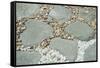 Gardens, landscaping, pebbles and rocks-Claver Carroll-Framed Stretched Canvas