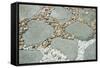 Gardens, landscaping, pebbles and rocks-Claver Carroll-Framed Stretched Canvas