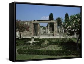 Gardens of Casa Di Fauna, Pompeii, Unesco World Heritage Site, Campania, Italy-Julia Thorne-Framed Stretched Canvas