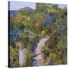 Gardens of Falaise-Tania Forgione-Stretched Canvas