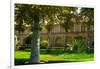 Gardens of Golestan Palace, UNESCO World Heritage Site, Tehran, Iran, Middle East-James Strachan-Framed Photographic Print