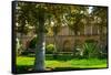 Gardens of Golestan Palace, UNESCO World Heritage Site, Tehran, Iran, Middle East-James Strachan-Framed Stretched Canvas