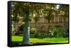 Gardens of Golestan Palace, UNESCO World Heritage Site, Tehran, Iran, Middle East-James Strachan-Framed Stretched Canvas