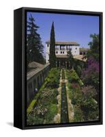 Gardens of the Generalife, the Alhambra, Granada, Andalucia (Andalusia), Spain, Europe-Julia Thorne-Framed Stretched Canvas