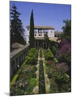 Gardens of the Generalife, the Alhambra, Granada, Andalucia (Andalusia), Spain, Europe-Julia Thorne-Mounted Photographic Print