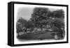 Gardens of the Hotel De Ville, Le Havre, Normandy, France, Early 20th Century-null-Framed Stretched Canvas