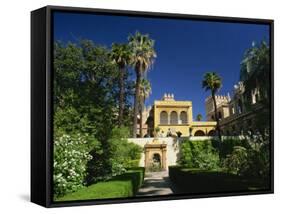 Gardens of the Reales Alcazares, Seville, Andalucia, Spain, Europe-Tomlinson Ruth-Framed Stretched Canvas