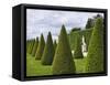 Gardens of Versailles-Rudy Sulgan-Framed Stretched Canvas