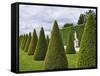 Gardens of Versailles-Rudy Sulgan-Framed Stretched Canvas