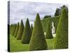 Gardens of Versailles-Rudy Sulgan-Stretched Canvas