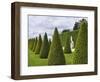 Gardens of Versailles-Rudy Sulgan-Framed Photographic Print