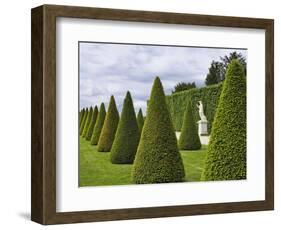 Gardens of Versailles-Rudy Sulgan-Framed Photographic Print