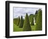 Gardens of Versailles-Rudy Sulgan-Framed Photographic Print