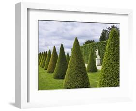 Gardens of Versailles-Rudy Sulgan-Framed Photographic Print