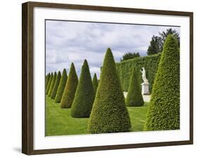 Gardens of Versailles-Rudy Sulgan-Framed Photographic Print