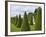 Gardens of Versailles-Rudy Sulgan-Framed Photographic Print