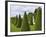 Gardens of Versailles-Rudy Sulgan-Framed Photographic Print