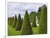 Gardens of Versailles-Rudy Sulgan-Framed Photographic Print