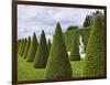 Gardens of Versailles-Rudy Sulgan-Framed Photographic Print