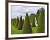 Gardens of Versailles-Rudy Sulgan-Framed Photographic Print