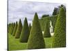 Gardens of Versailles-Rudy Sulgan-Stretched Canvas