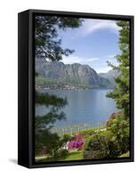 Gardens of Villa Melzi, Bellagio, Lake Como, Lombardy, Italian Lakes, Italy, Europe-Peter Barritt-Framed Stretched Canvas