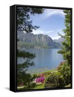 Gardens of Villa Melzi, Bellagio, Lake Como, Lombardy, Italian Lakes, Italy, Europe-Peter Barritt-Framed Stretched Canvas