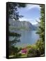 Gardens of Villa Melzi, Bellagio, Lake Como, Lombardy, Italian Lakes, Italy, Europe-Peter Barritt-Framed Stretched Canvas