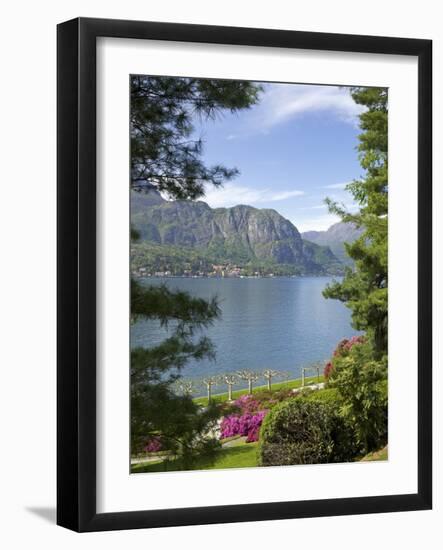 Gardens of Villa Melzi, Bellagio, Lake Como, Lombardy, Italian Lakes, Italy, Europe-Peter Barritt-Framed Photographic Print