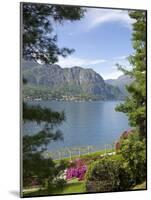 Gardens of Villa Melzi, Bellagio, Lake Como, Lombardy, Italian Lakes, Italy, Europe-Peter Barritt-Mounted Photographic Print