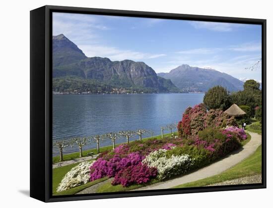 Gardens of Villa Melzi, Bellagio, Lake Como, Lombardy, Italian Lakes, Italy, Europe-Peter Barritt-Framed Stretched Canvas