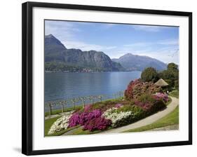 Gardens of Villa Melzi, Bellagio, Lake Como, Lombardy, Italian Lakes, Italy, Europe-Peter Barritt-Framed Photographic Print