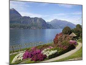 Gardens of Villa Melzi, Bellagio, Lake Como, Lombardy, Italian Lakes, Italy, Europe-Peter Barritt-Mounted Photographic Print