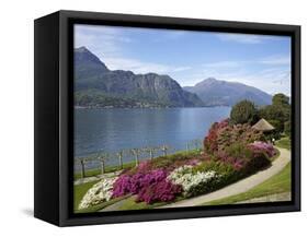 Gardens of Villa Melzi, Bellagio, Lake Como, Lombardy, Italian Lakes, Italy, Europe-Peter Barritt-Framed Stretched Canvas