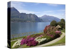 Gardens of Villa Melzi, Bellagio, Lake Como, Lombardy, Italian Lakes, Italy, Europe-Peter Barritt-Stretched Canvas