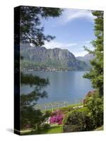 Gardens of Villa Melzi, Bellagio, Lake Como, Lombardy, Italian Lakes, Italy, Europe-Peter Barritt-Stretched Canvas