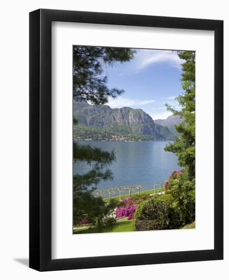 Gardens of Villa Melzi, Bellagio, Lake Como, Lombardy, Italian Lakes, Italy, Europe-Peter Barritt-Framed Photographic Print