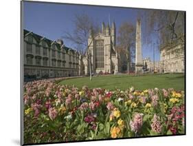 Gardens on East Side of Bath Abbey-Jonathan Hicks-Mounted Photographic Print