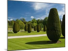 Gardens on  the Estate of Lanhydrock-Bob Krist-Mounted Photographic Print