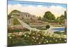 Gardens, Rock Springs Park, Fort Worth, Texas-null-Mounted Art Print