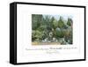 Gardens-null-Framed Stretched Canvas