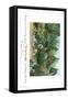 Gardens-null-Framed Stretched Canvas