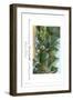 Gardens-null-Framed Art Print