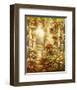 Gardenside View-Brad Shaw-Framed Art Print