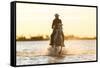 Gardian, Cowboy and Horseman of the Camargue, Camargue, France-Peter Adams-Framed Stretched Canvas